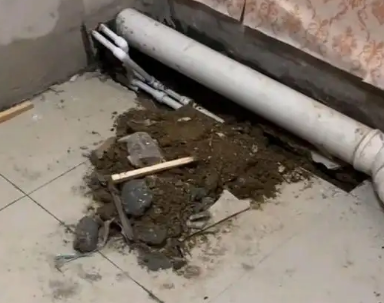 苍南卫生间漏水检测哪家好