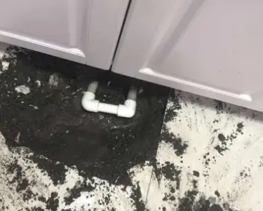苍南查漏水哪家好